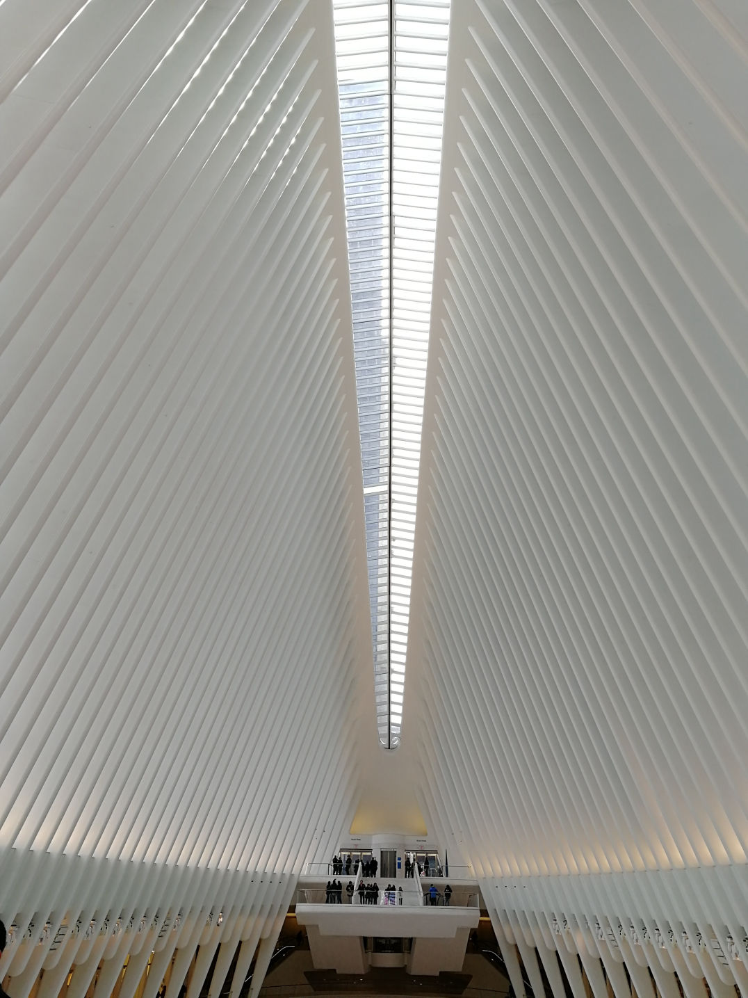 USA / New York / Architecture